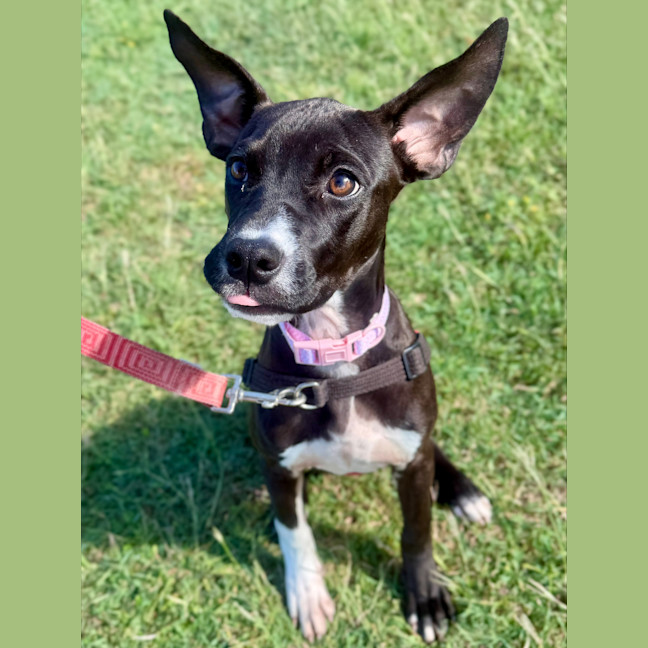 Photo of Hilda
