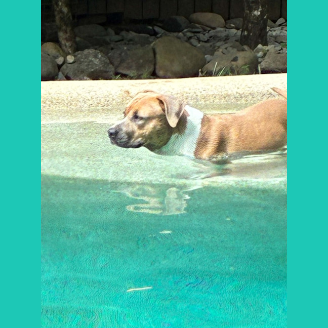 Photo of Lexie