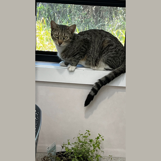 Photo of Arwen (9076)