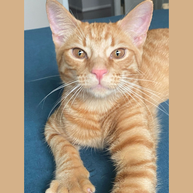 Photo of George