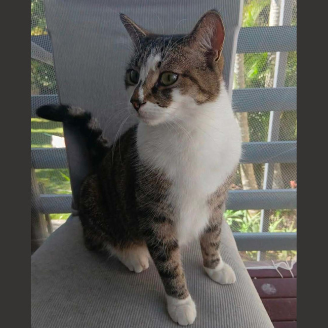 Photo of Max