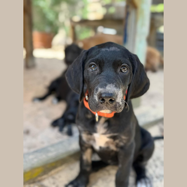 Photo of Bubble