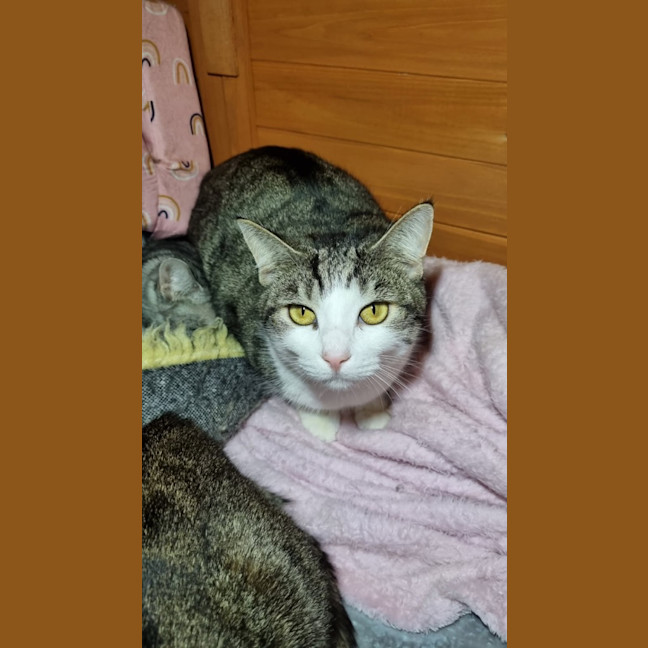 Photo of Spencer & Penny