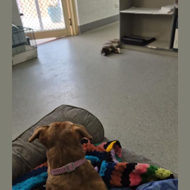 Photo of Mary! 🕊️