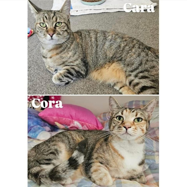 Photo of 6843/4   Cora & Cara