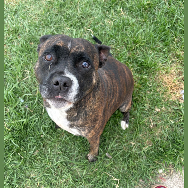 Photo of Lola