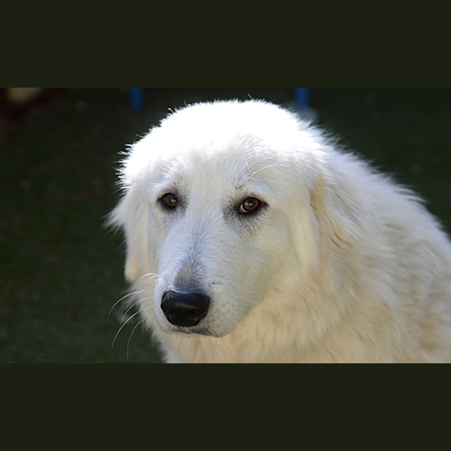 Photo of Mija