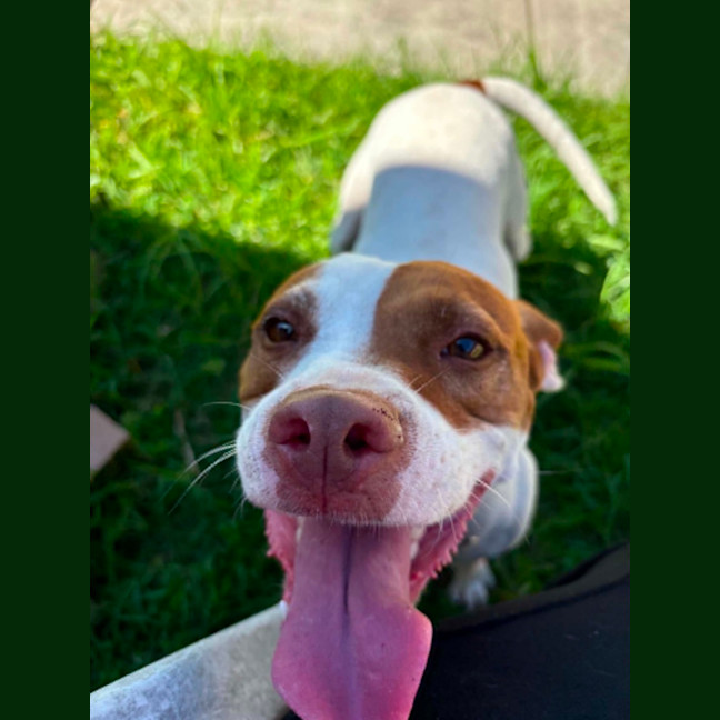 Photo of Mia