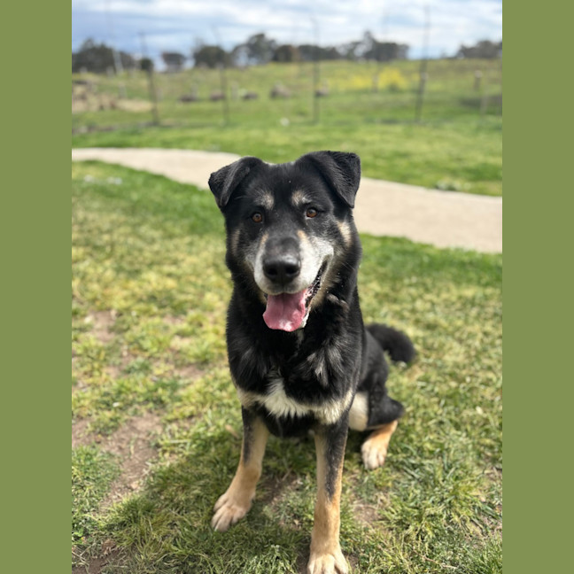 Photo of Zeus 