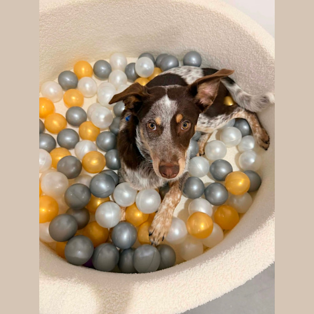 Photo of Cash