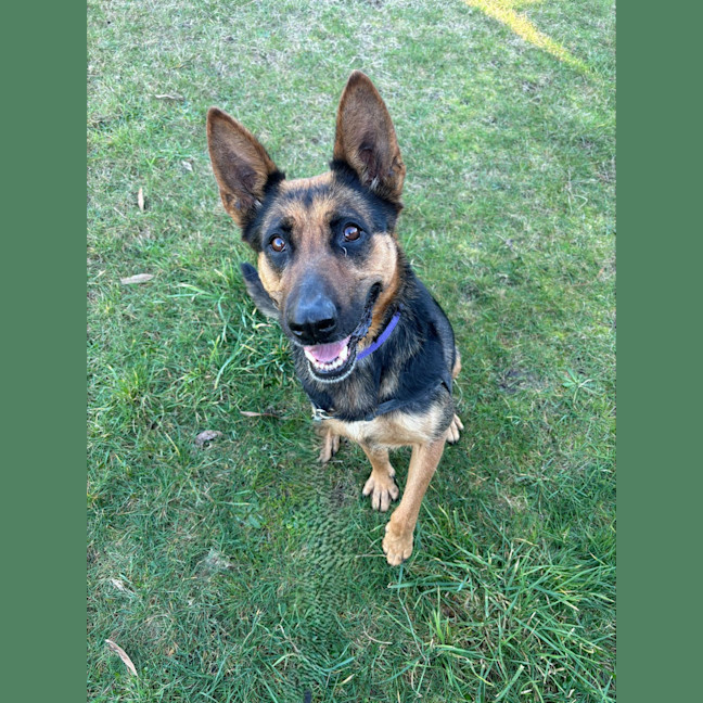 Photo of Luna