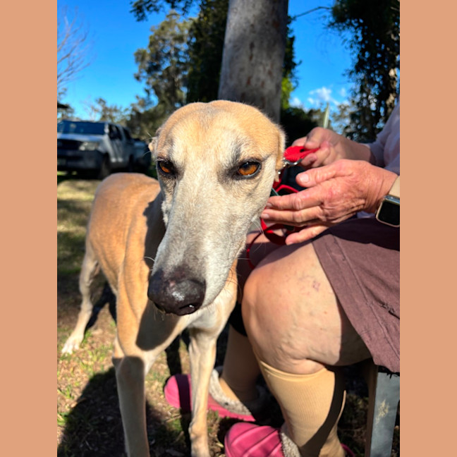 Photo of Jazzy