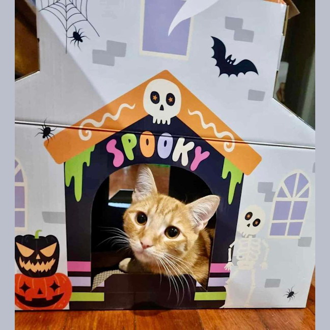 Photo of Howie