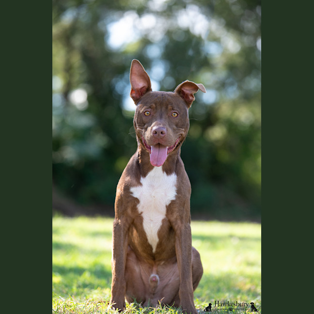 Photo of Jasper