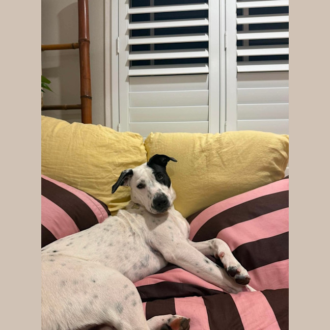 Photo of Bobby