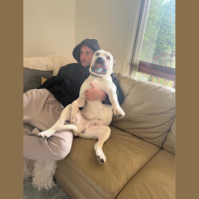 Photo of Turbo