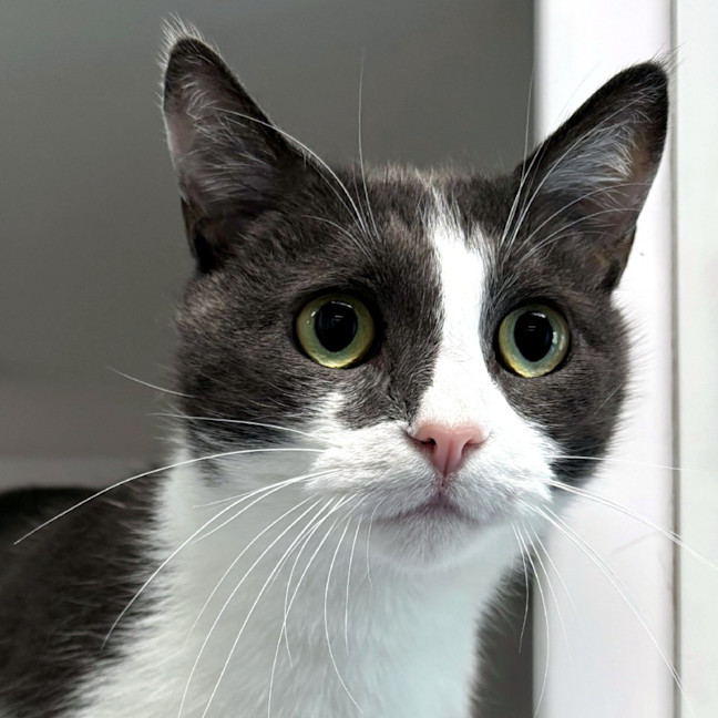 Photo of Truffles Rsua005982