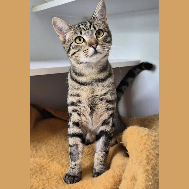 Photo of Bill