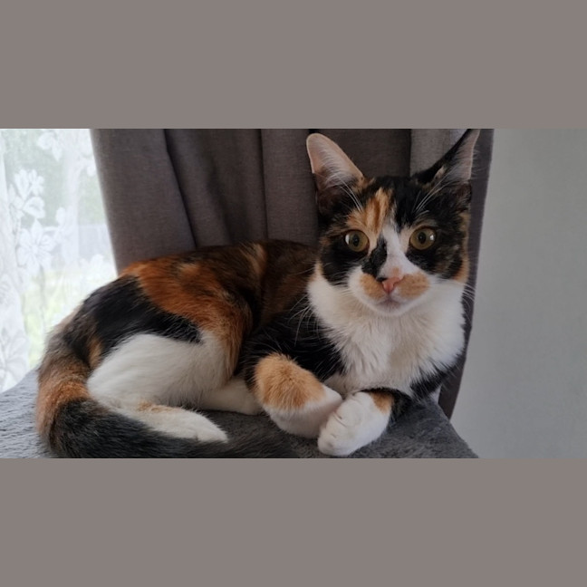 Photo of Zoe