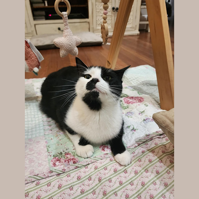 Photo of Melvin