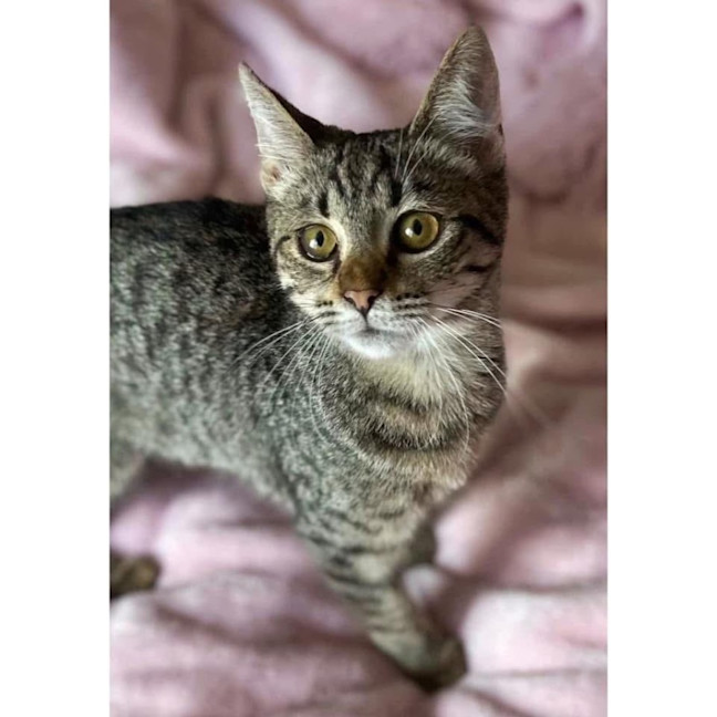 Photo of 11088   Jorji