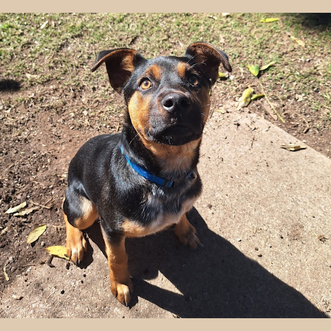 Photo of Nelly