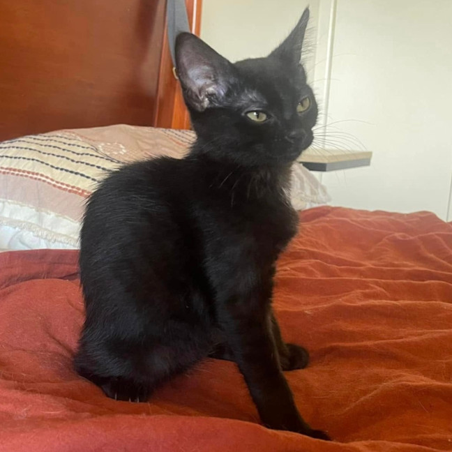 Photo of Purretha Franklin