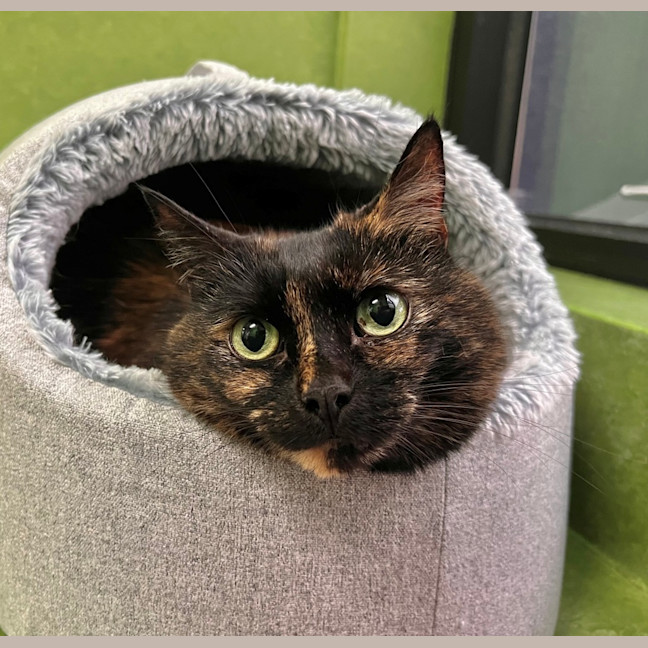 Photo of Mabel
