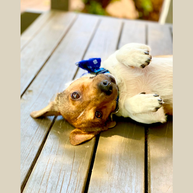 Photo of Kevin Arnold