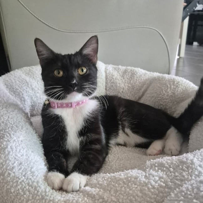 Photo of Yuki