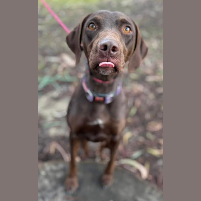 Photo of Marley
