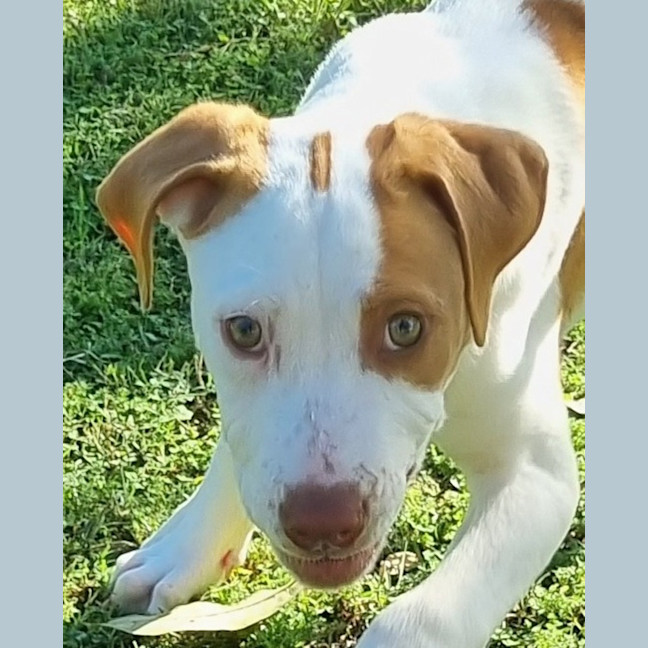 Photo of Andy 
