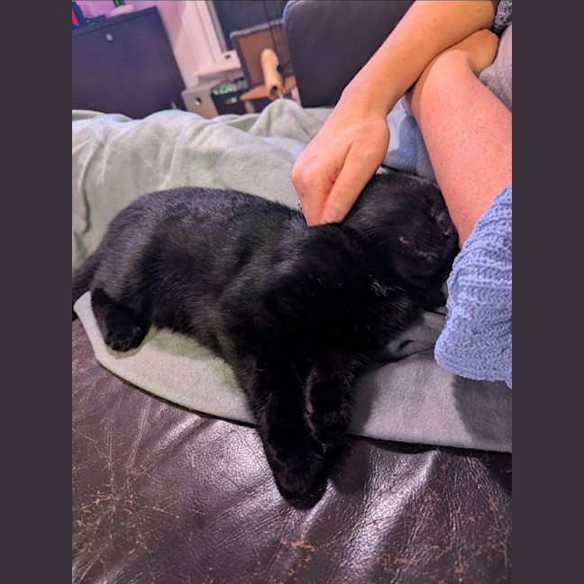 Photo of Sweep