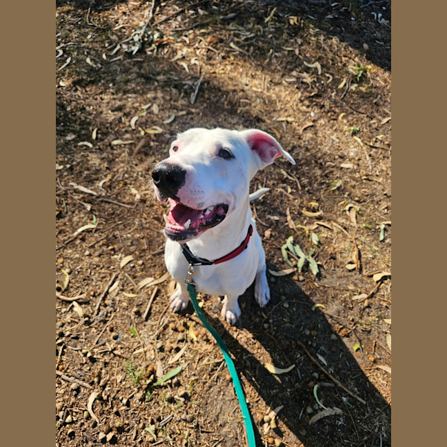 Photo of Wally
