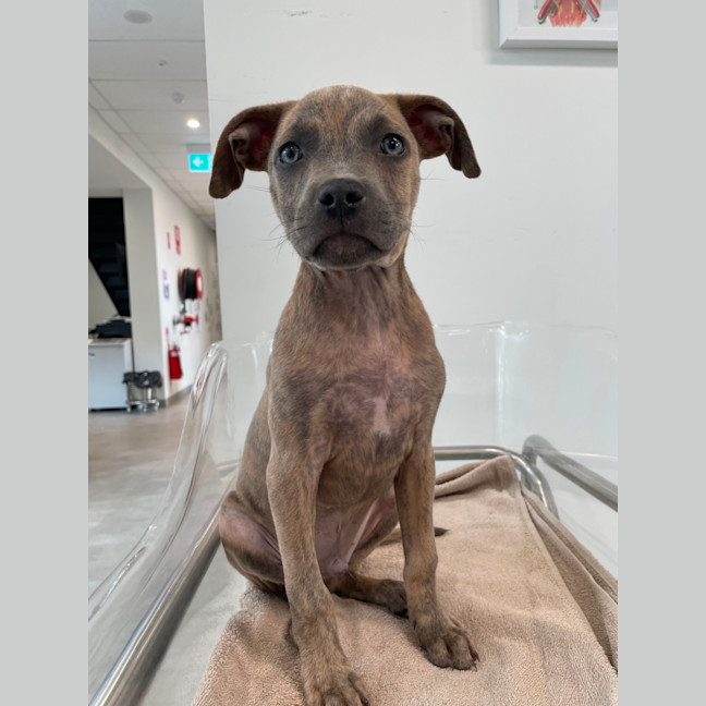 Photo of Zeus