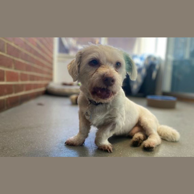 Photo of Chugga