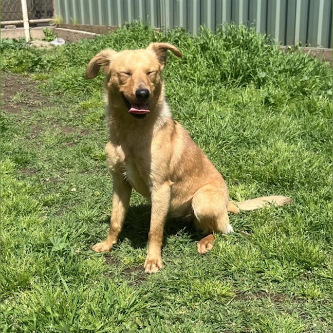 Photo of Miss. Ridgee