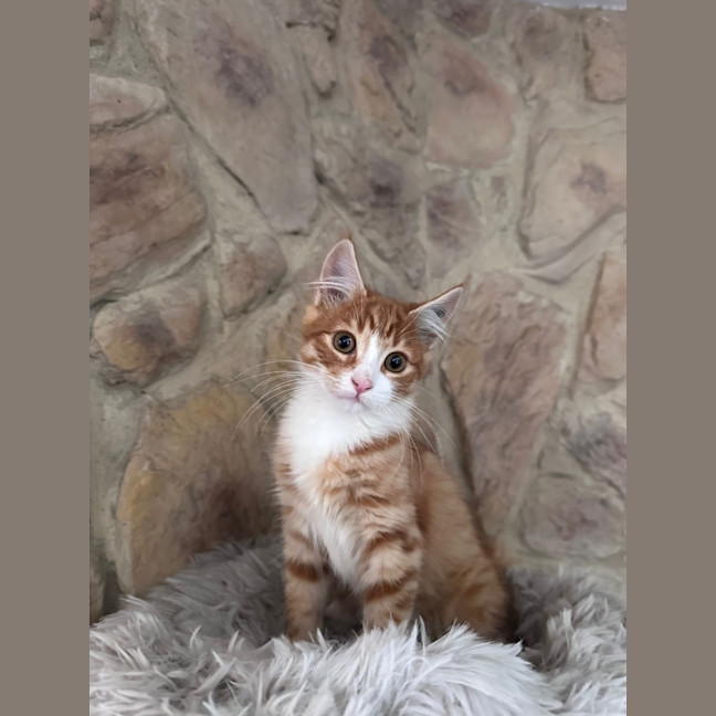 Photo of Pj