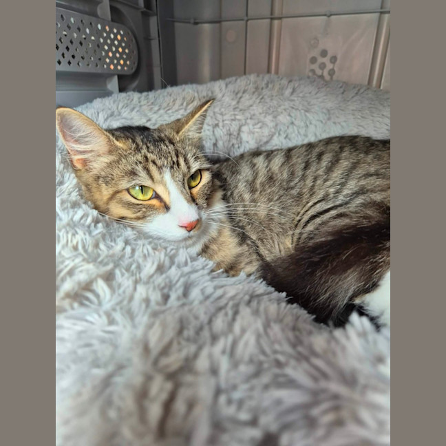 Photo of Bailey!  👑 