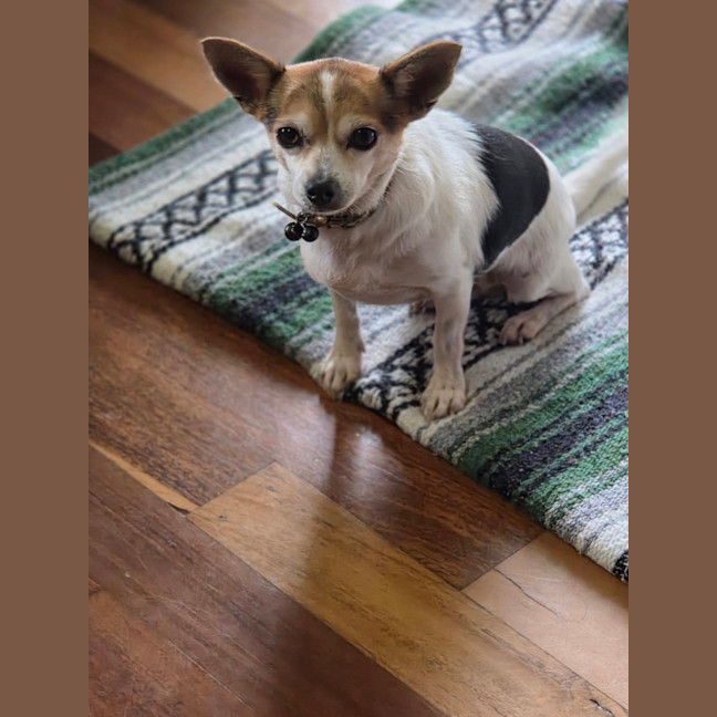 Photo of Rita
