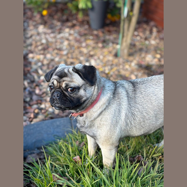 Photo of Betty
