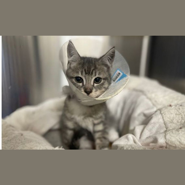 Photo of Sergei