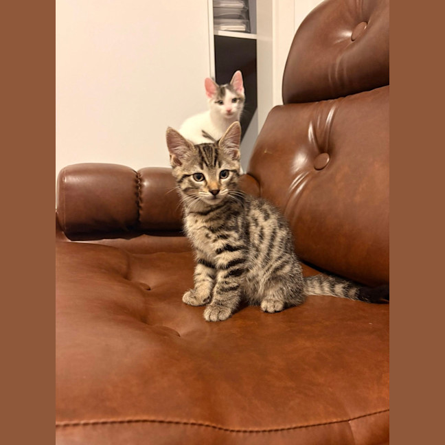 Photo of Jimmy (Was Harry)