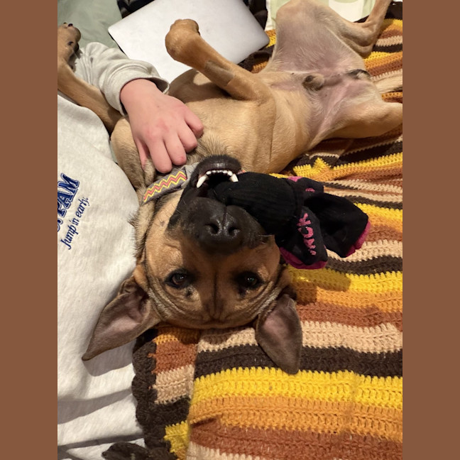 Photo of Bruce