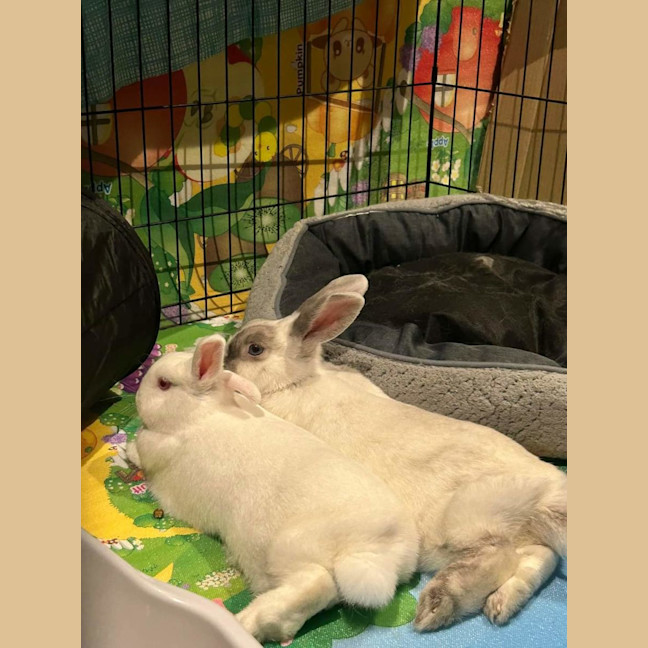 Photo of Mary Hoppins With Audrey Hopburn