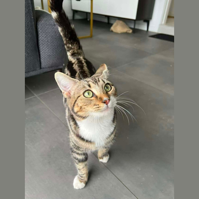 Photo of Little One