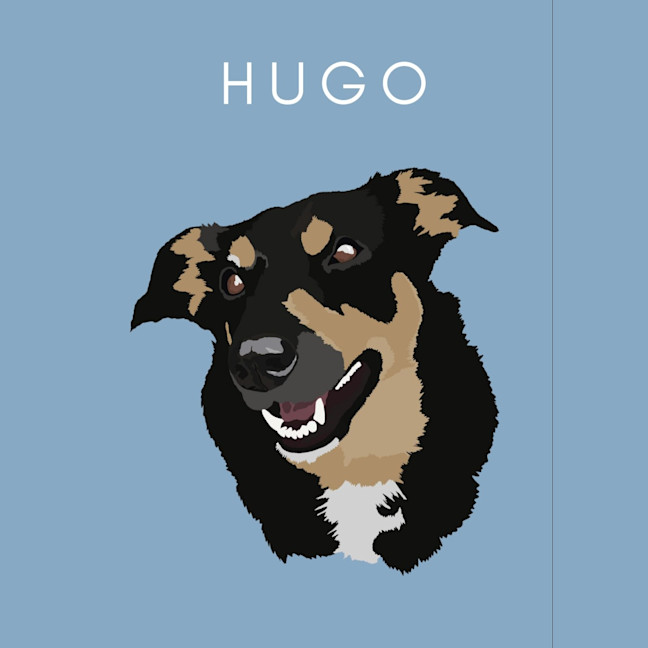 Photo of Hugo 