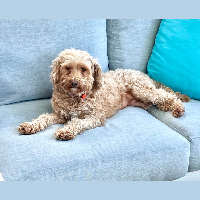 Photo of Sweet Little Faith