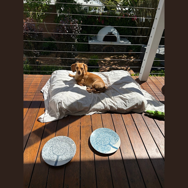 Photo of Hannah And Edward