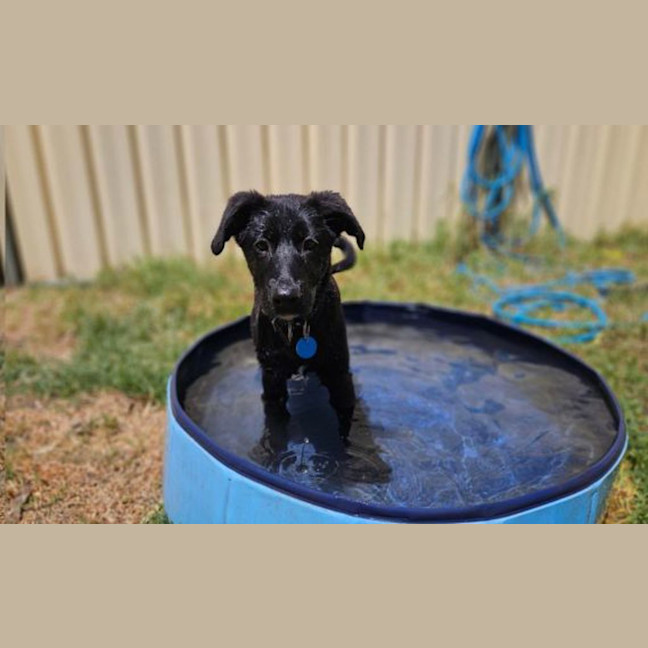 Photo of Sally